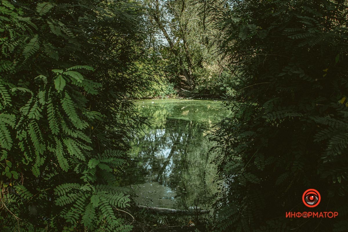 Какое все зеленое Какое все зеленое