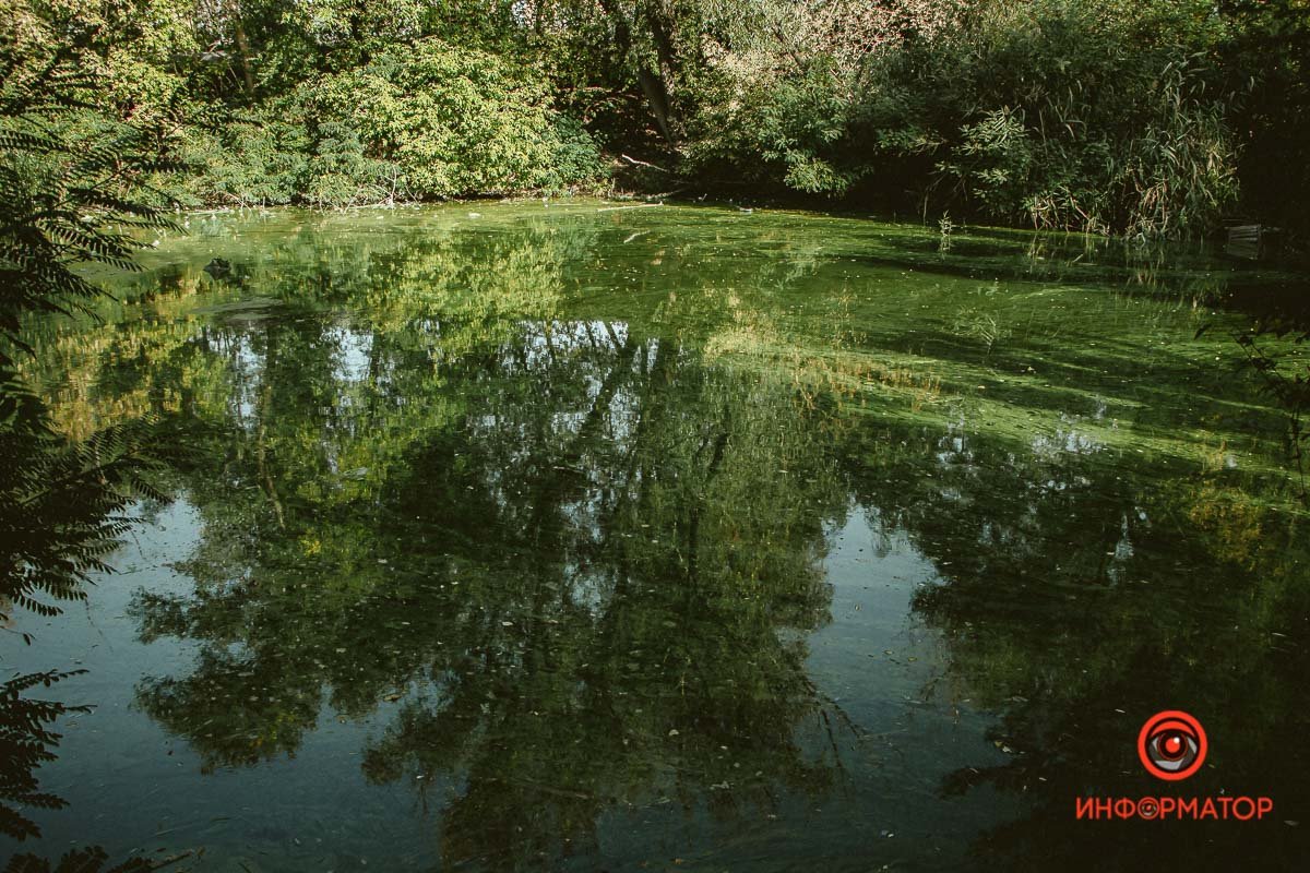 Заводь Заводь