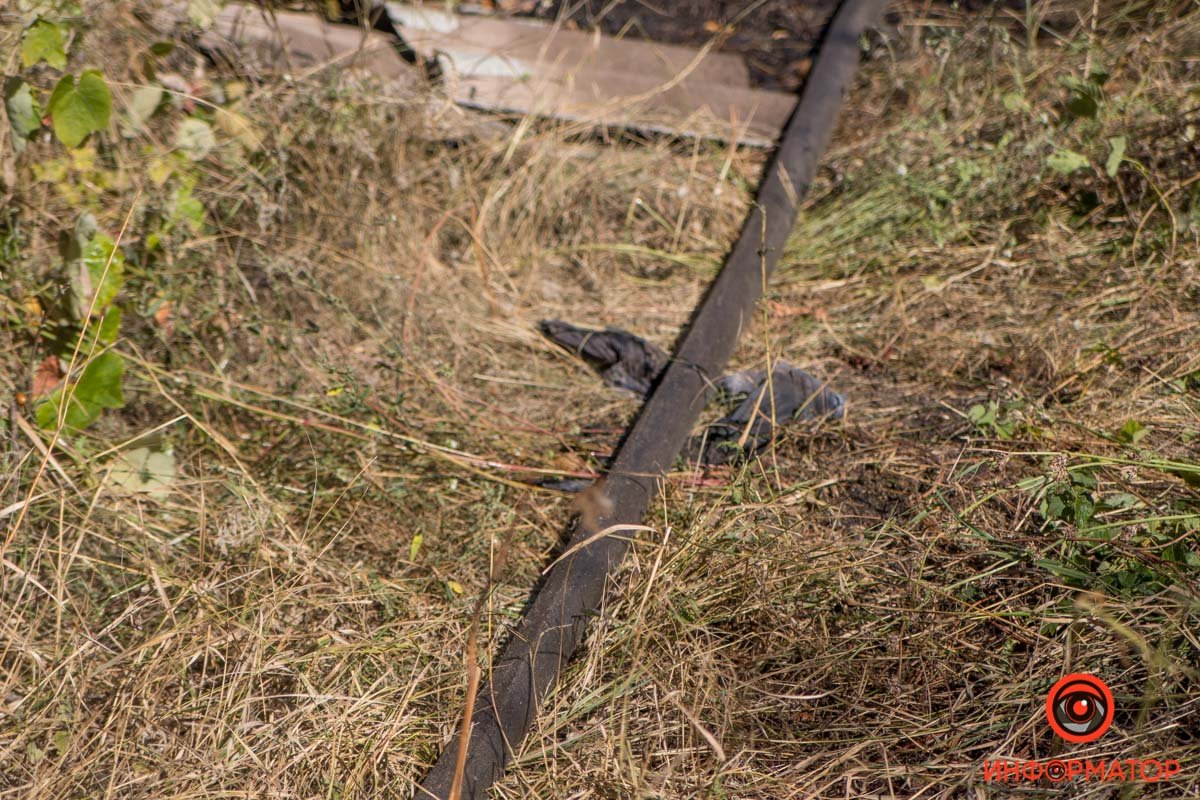 Рядом нашли останки