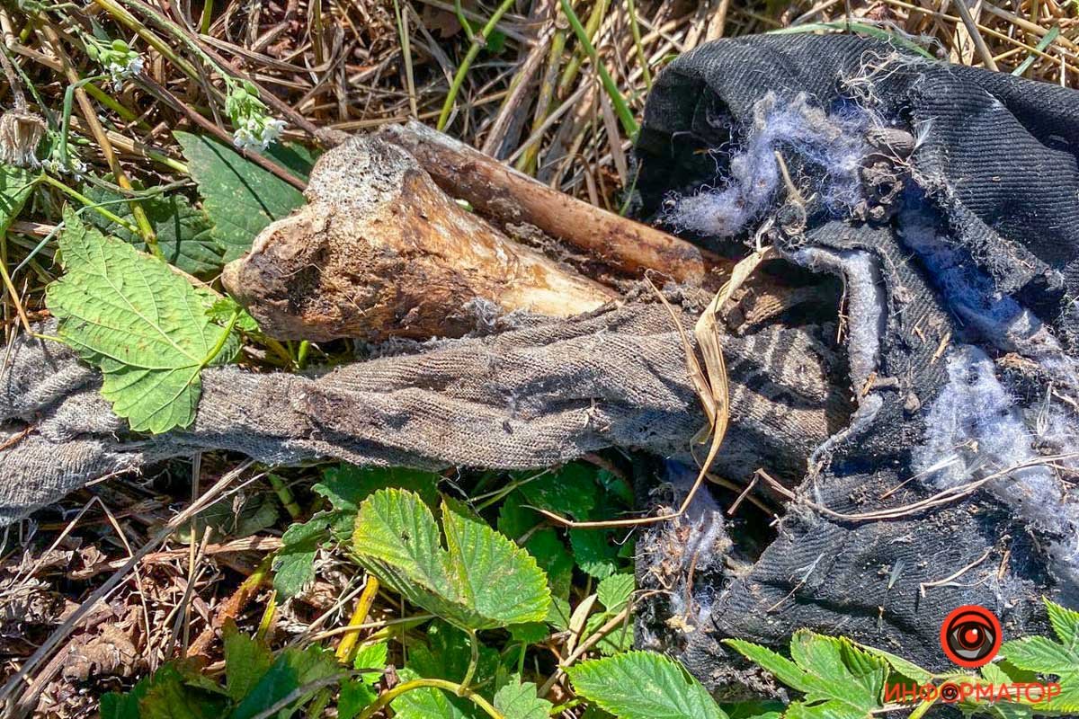 Обнаружили человеческие кости