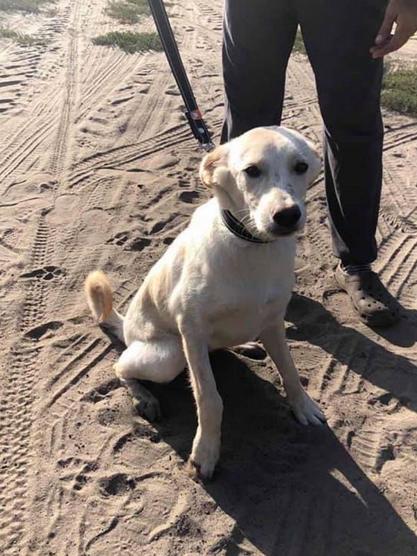 Умная и красивая Умная и красивая