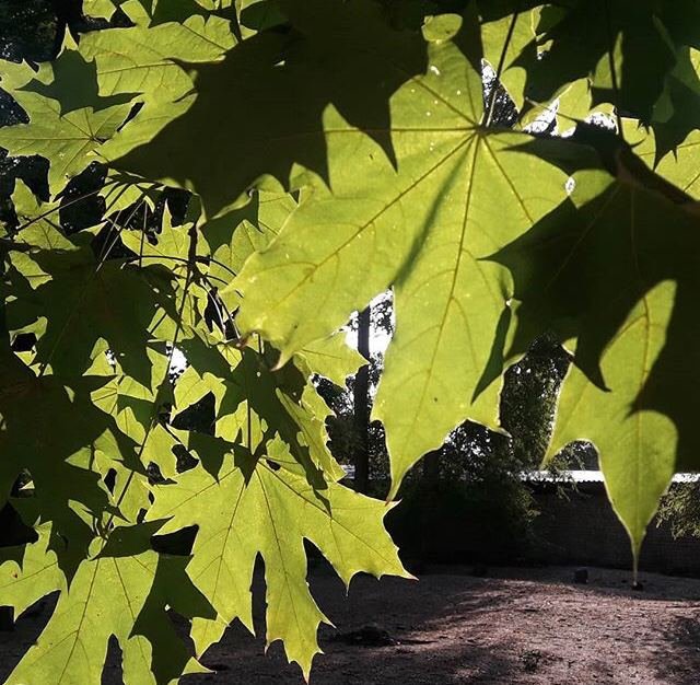 Фото: @elena.boyco