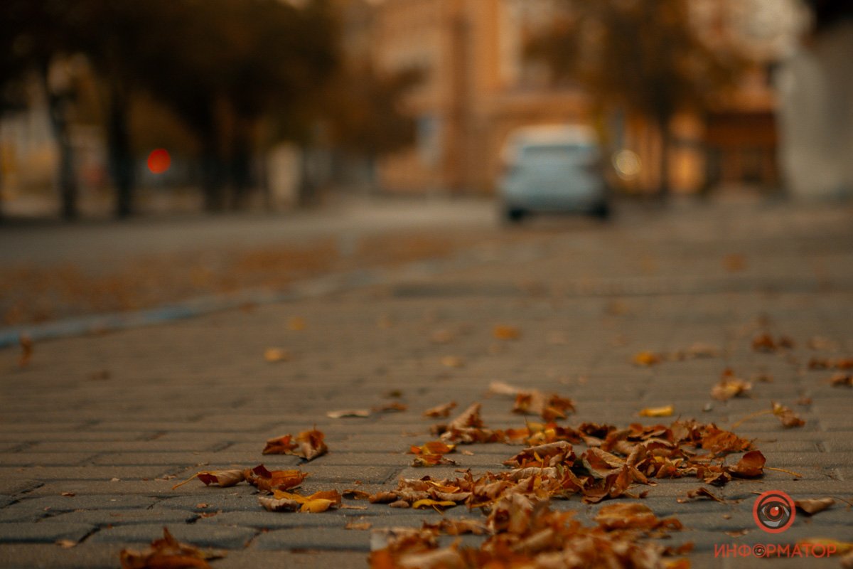 Опавшая листва на тротуарах