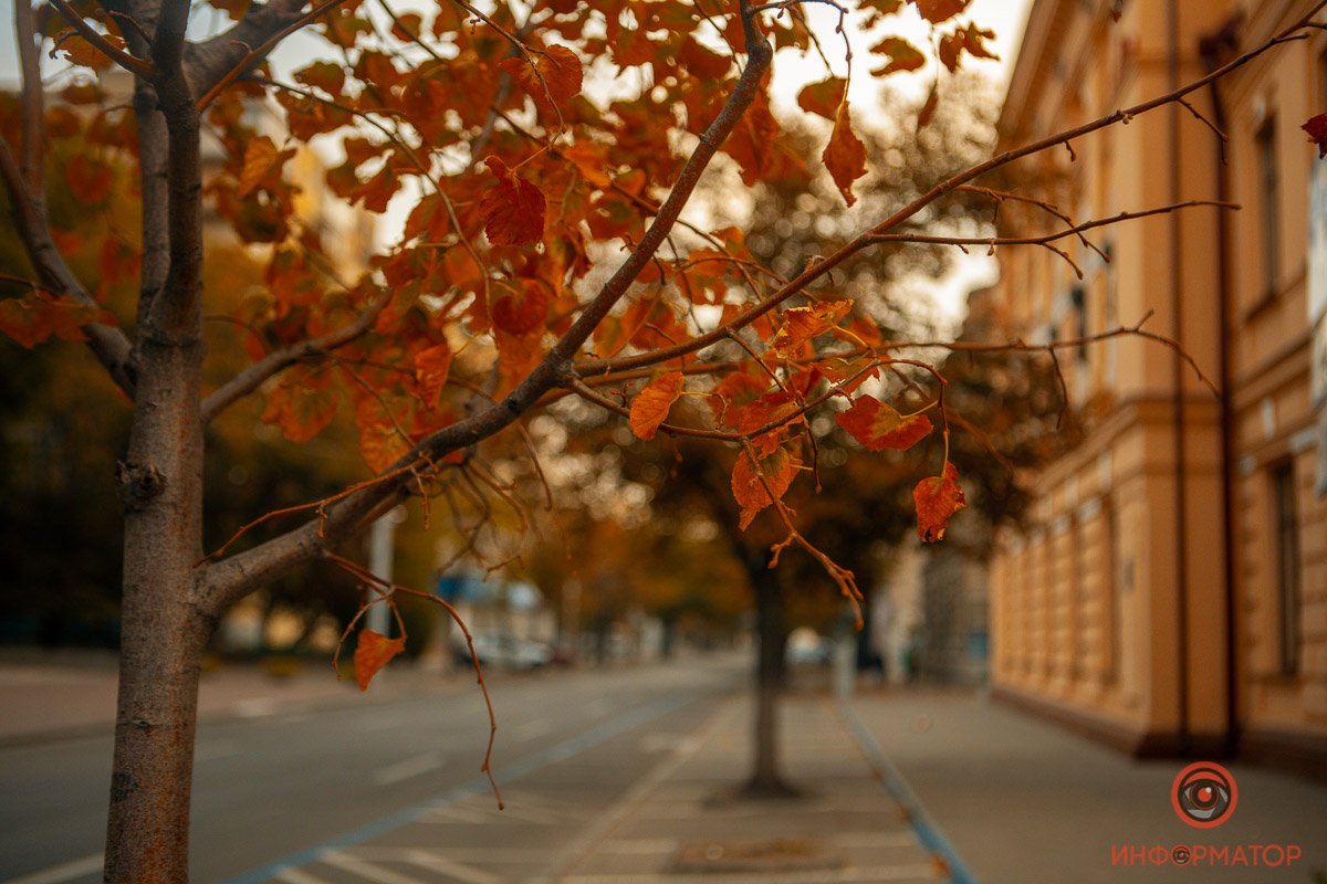 Буйство красок