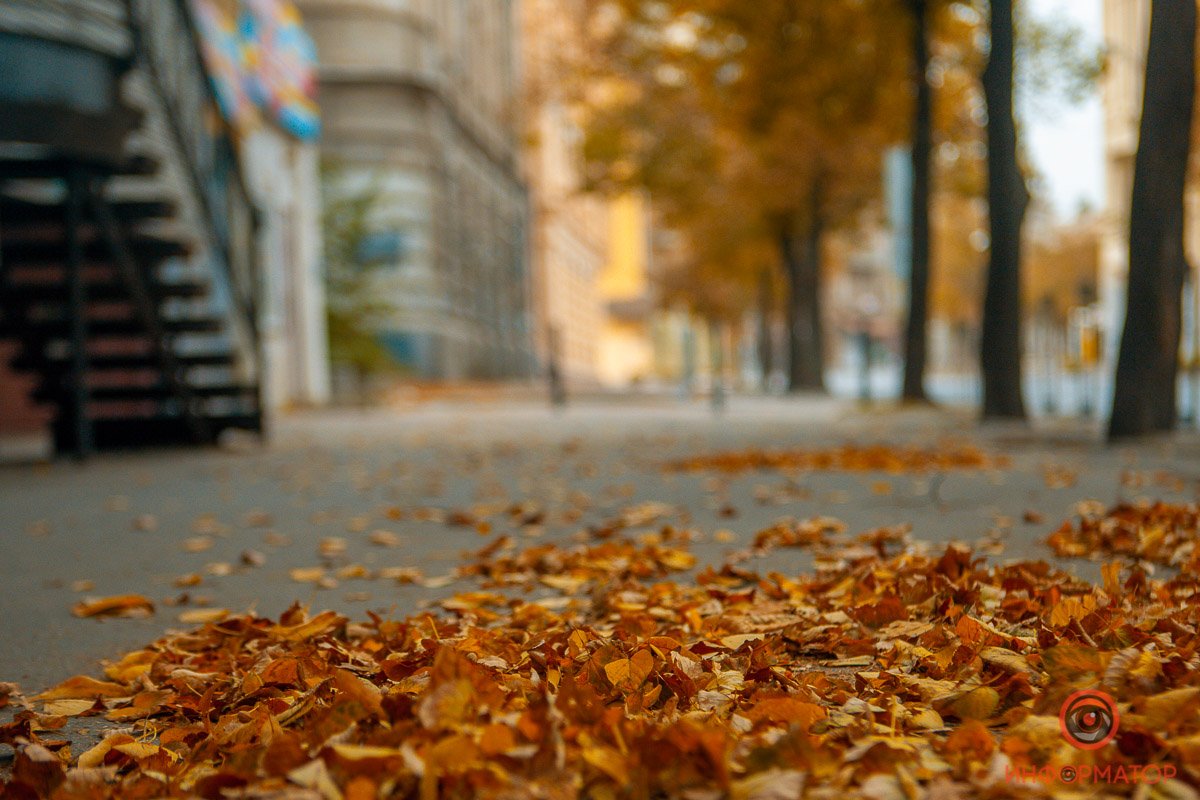 Далее - минутка лирики