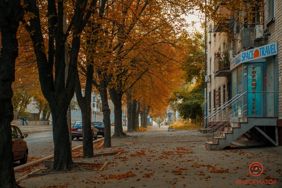 Осень – время мечтать и смотреть разноцветные сны, 