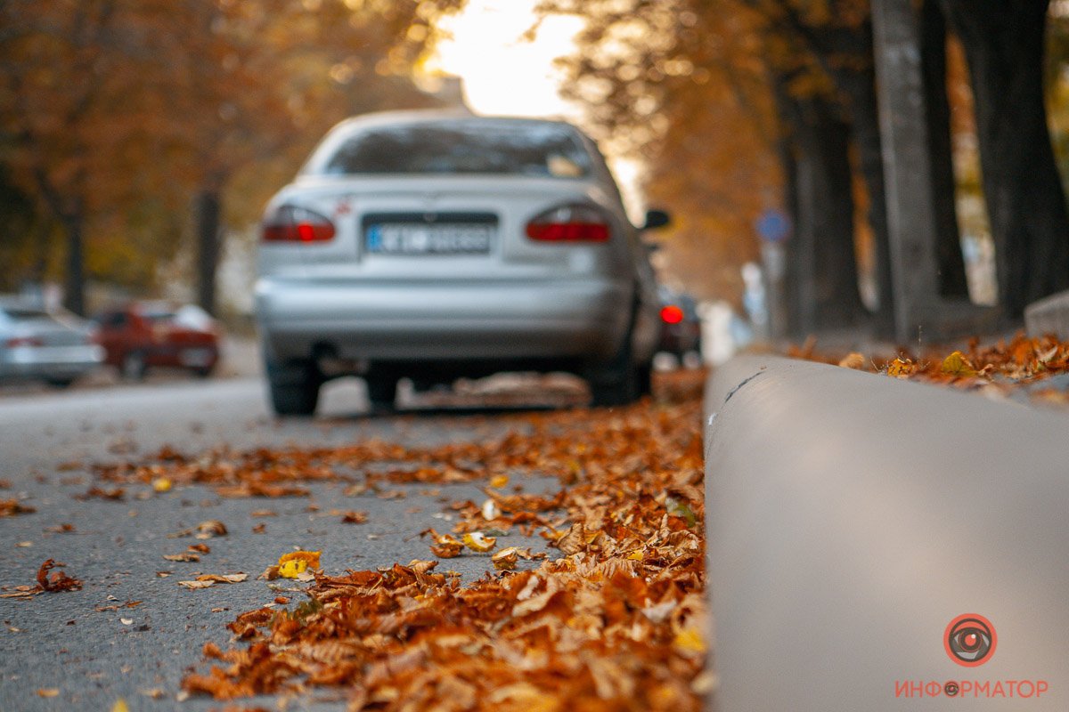 Запивать холода самым лучшим жасминовым чаем, 