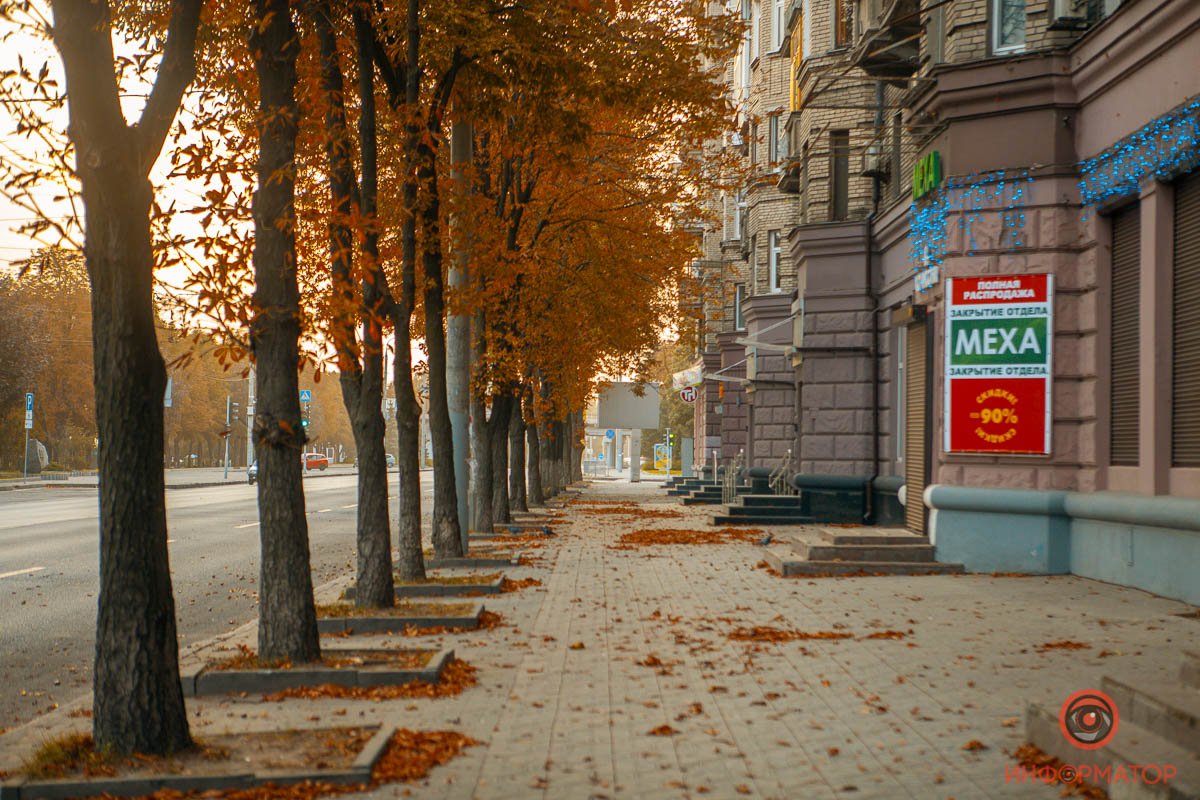 От того, что дожди ну нисколечко не огорчают! 