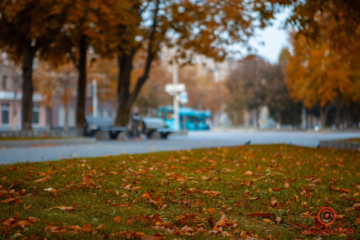 А не грустно вздыхать и скучать по ушедшему лету. 