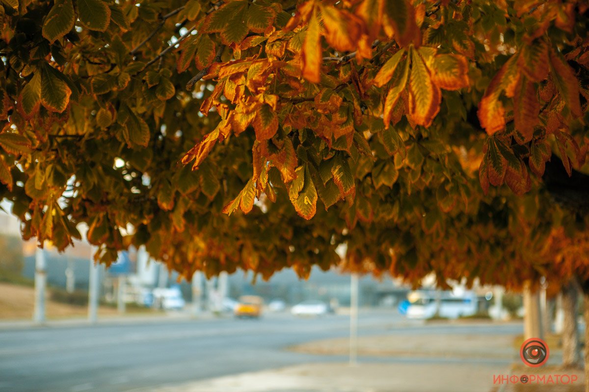И, конечно, любить вопреки всем законам природы! 