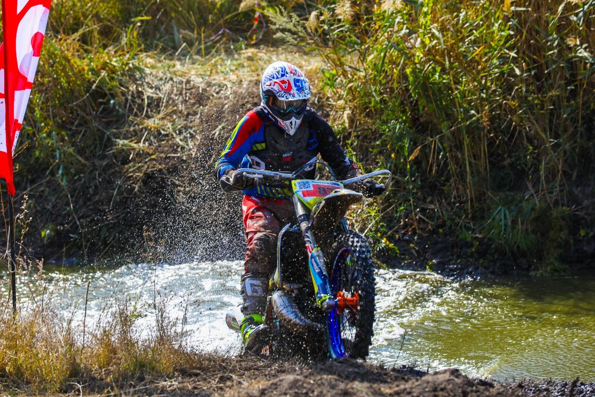 Свинюшка Свинюшка