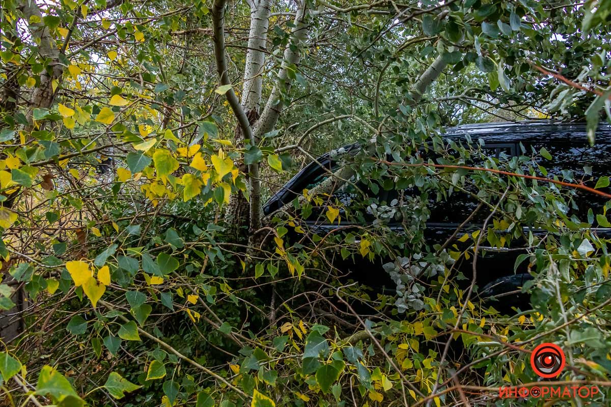 Все обошлось без пострадавших Все обошлось без пострадавших