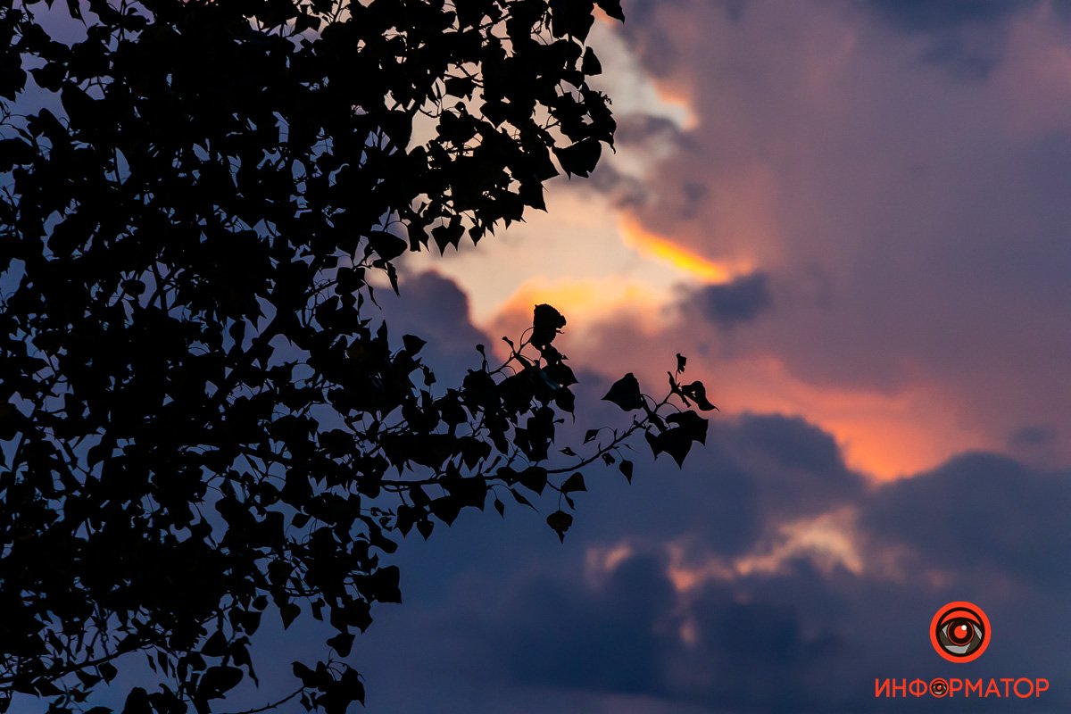 Но я не с вами… я останусь, Но я не с вами… я останусь,