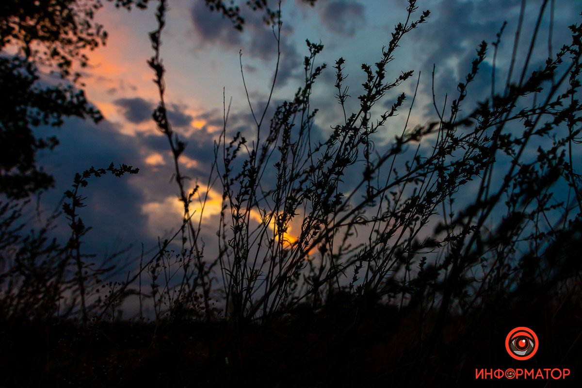 Смотреть на звёзды и луну. Смотреть на звёзды и луну.
