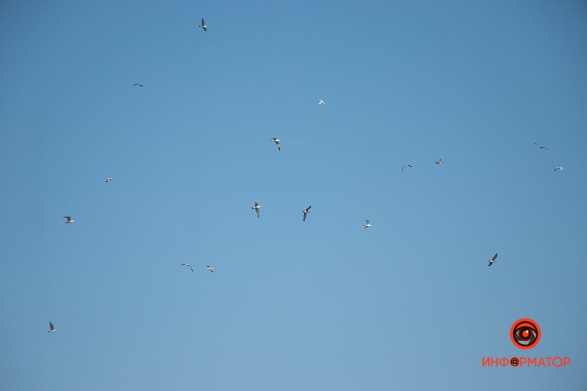 В преддверии холодов