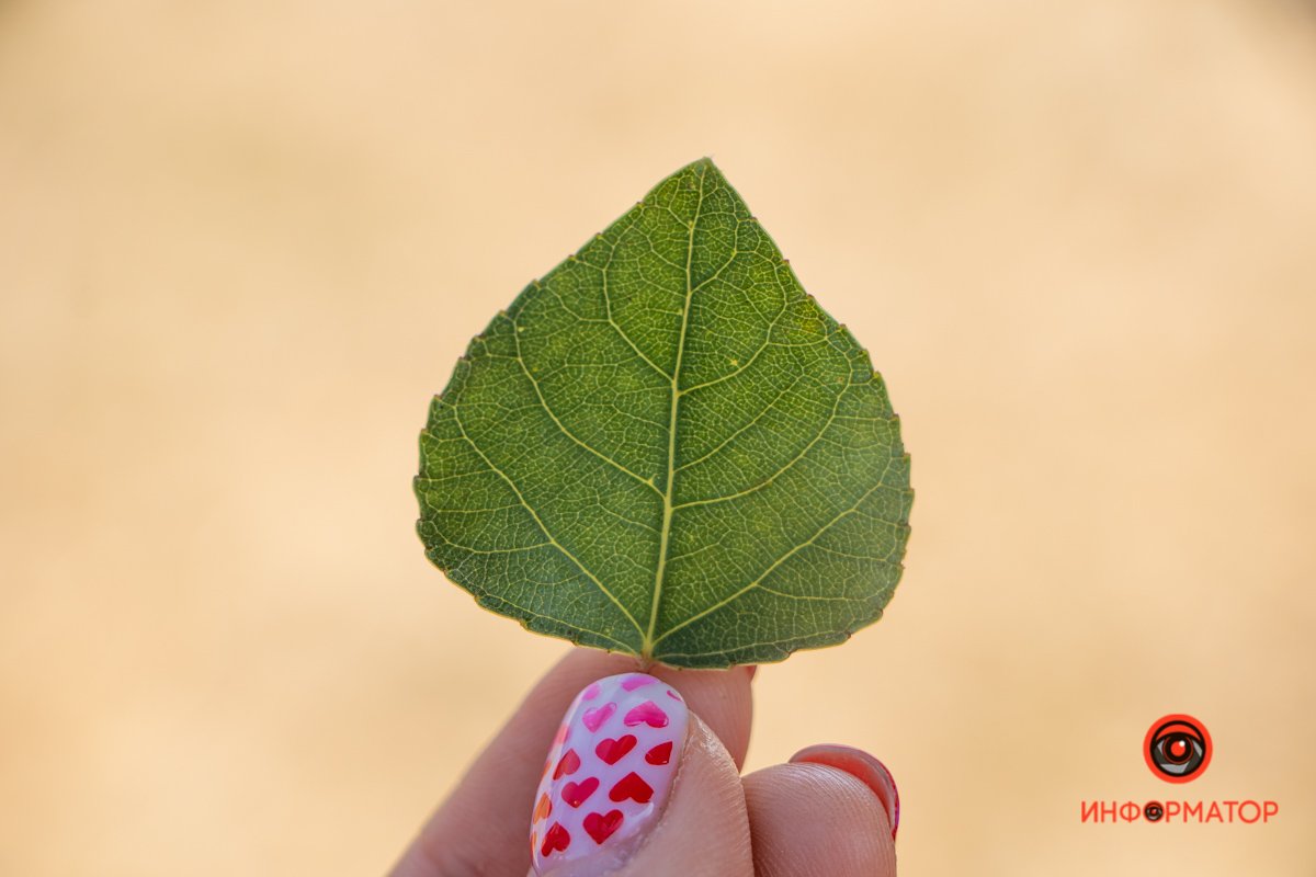 Остаток лета