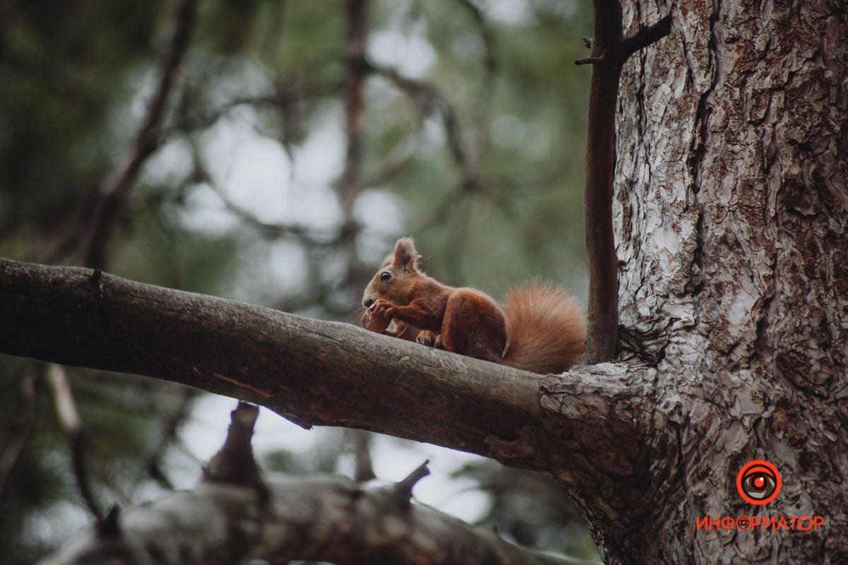 Ушла на обед Ушла на обед