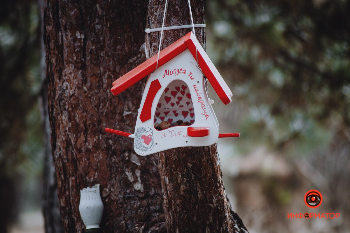 Мама-белка Мама-белка