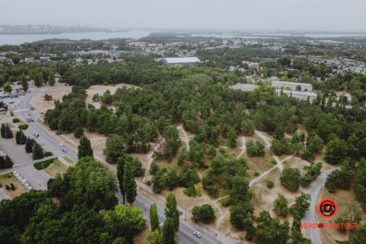 Время гулять по лесу Время гулять по лесу