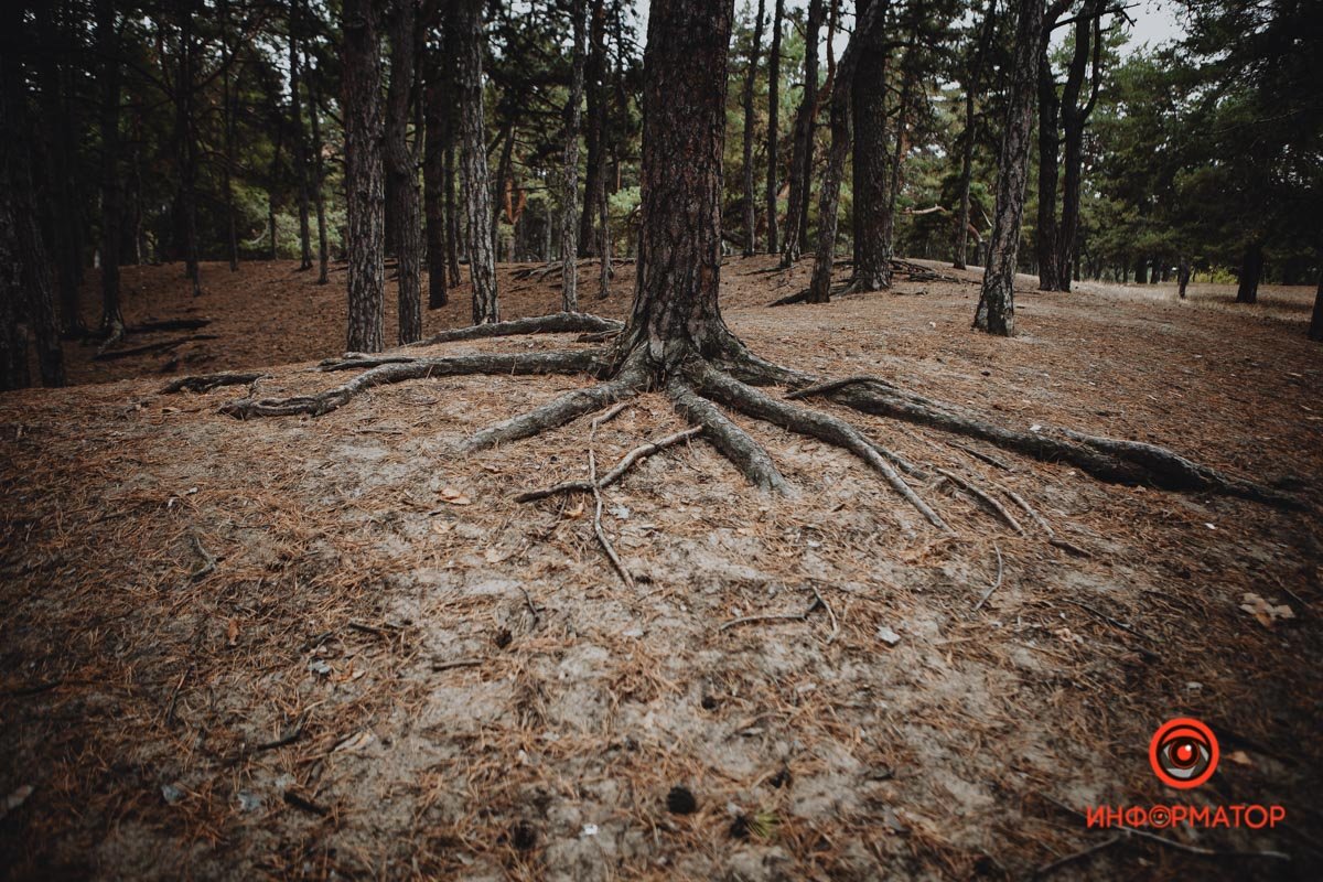 Время напитаться силой Время напитаться силой