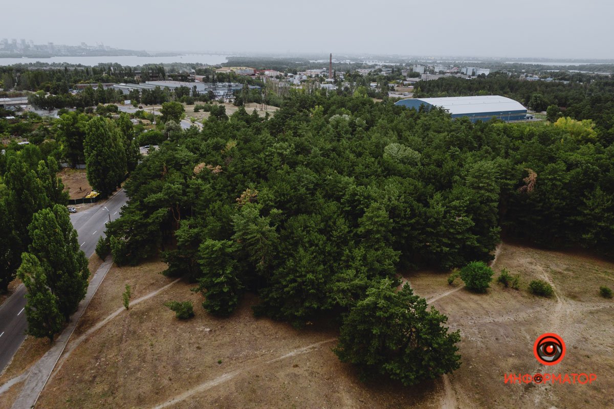 Больше зелени! Больше зелени!