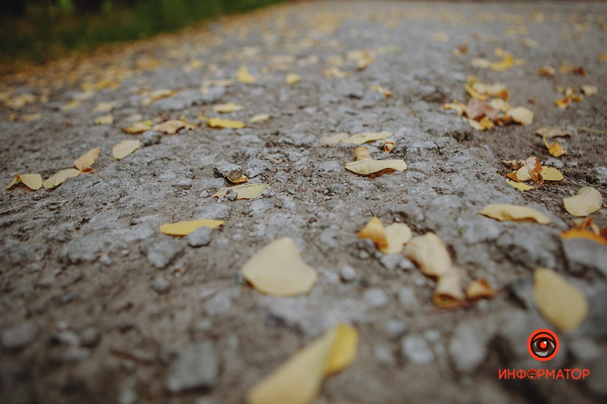 Осень Осень