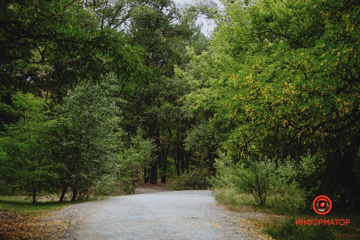Дорога в отдых Дорога в отдых