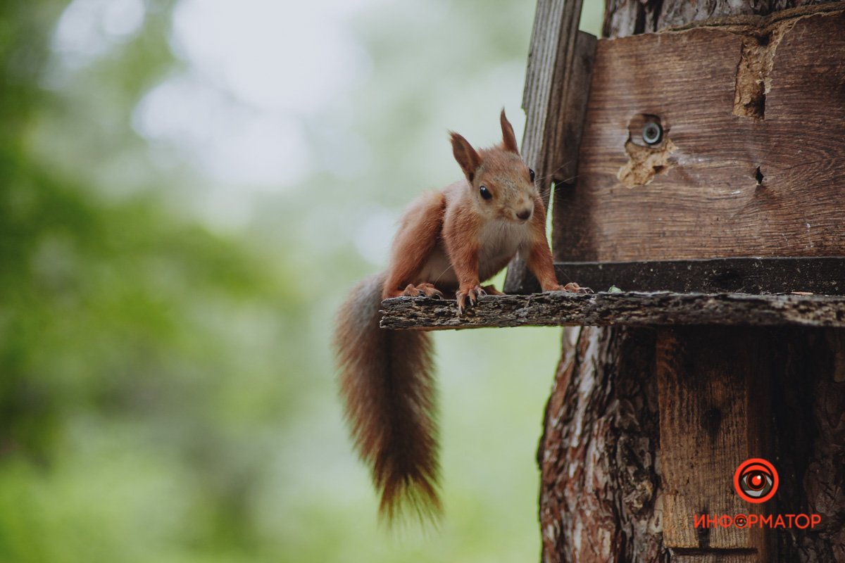 Это ты его украл? Это ты его украл?