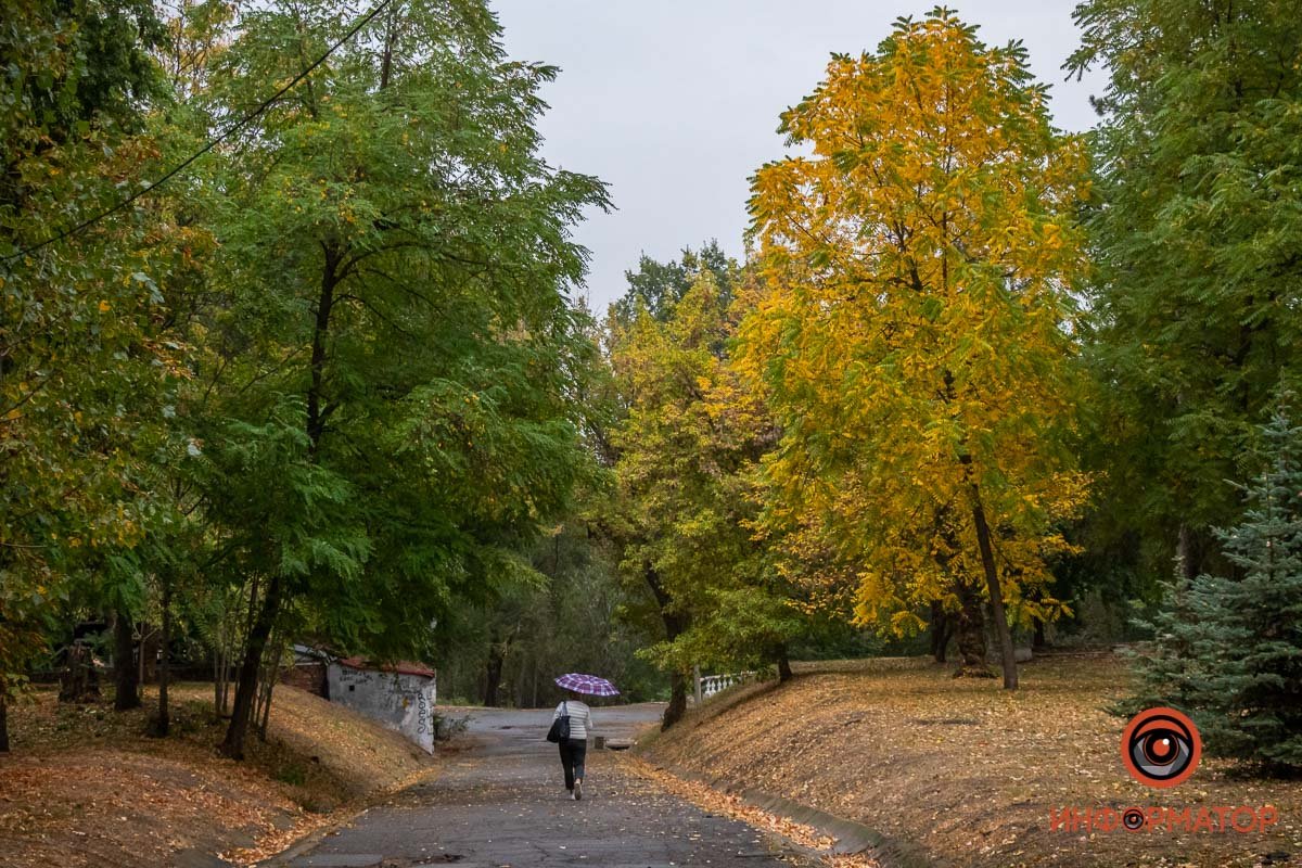 Свежая прогулка Свежая прогулка