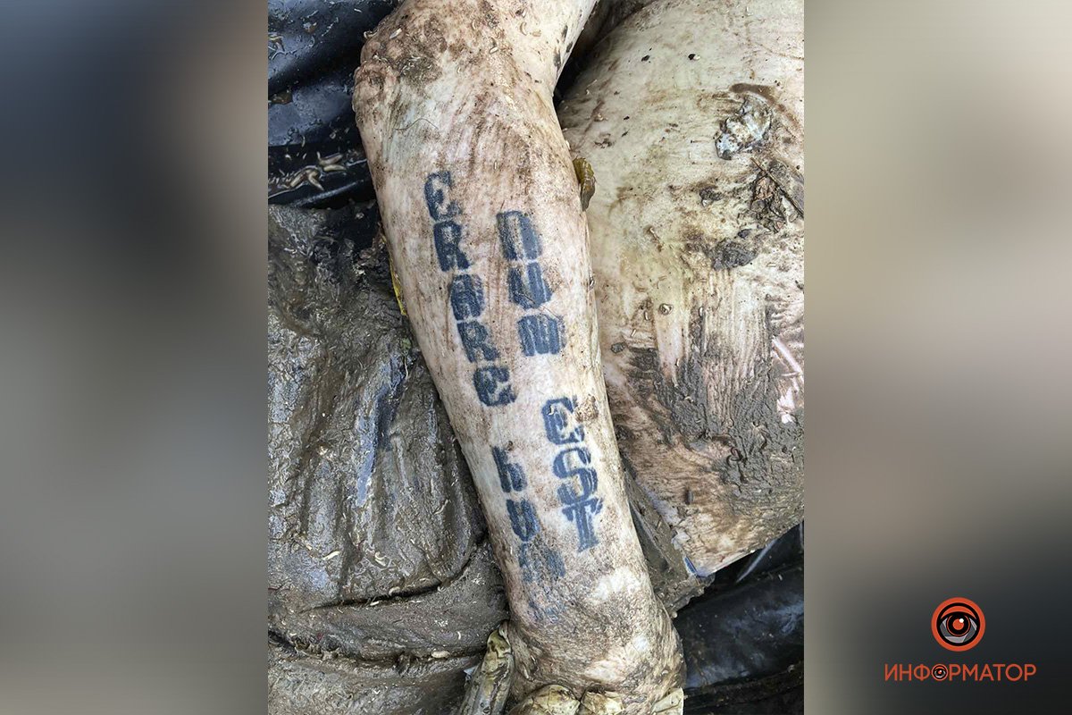 Татуировка на правом предплечье Татуировка на правом предплечье