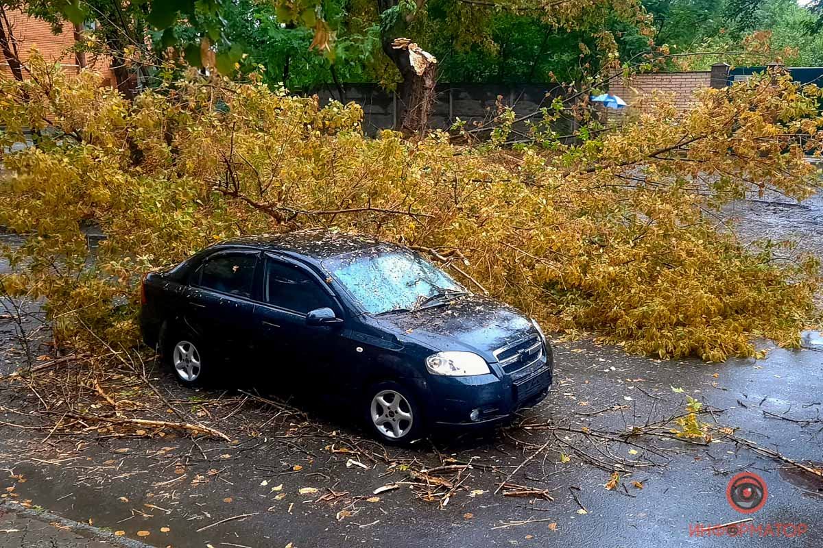 В этот момент по дороге ехал Chevrolet, дерево рухнуло прямо на него В этот момент по дороге ехал Chevrolet, дерево рухнуло прямо на него