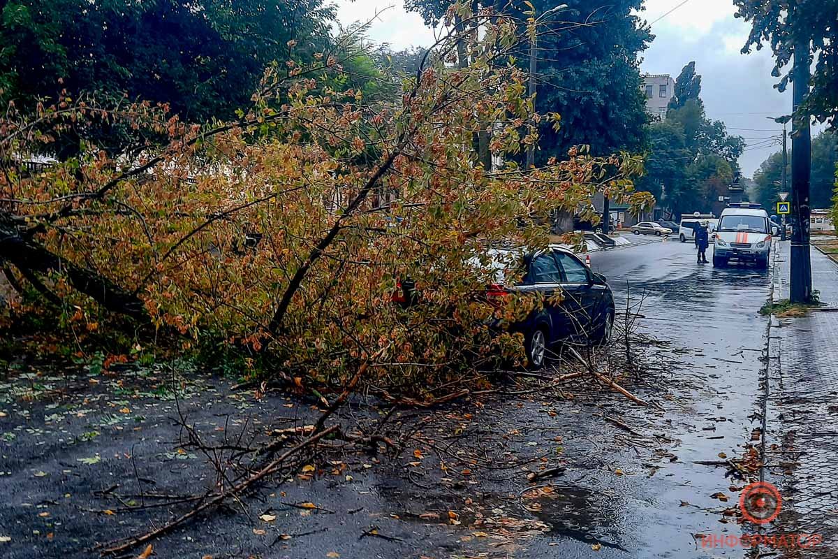 Инцидент произошел недалеко от перекрестка улицы Надежды Алексеенко с проспектом Пушкина Инцидент произошел недалеко от перекрестка улицы Надежды Алексеенко с проспектом Пушкина