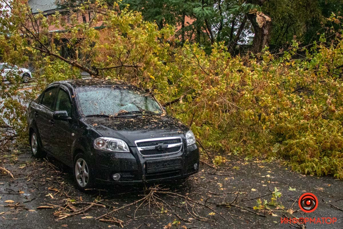 Водитель Chevrolet не пострадал Водитель Chevrolet не пострадал
