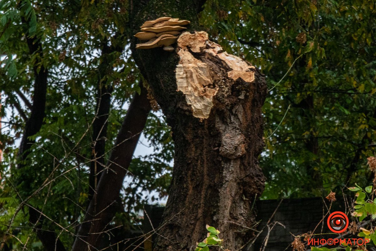 Также выбило переднее стекло со стороны водителя Также выбило переднее стекло со стороны водителя