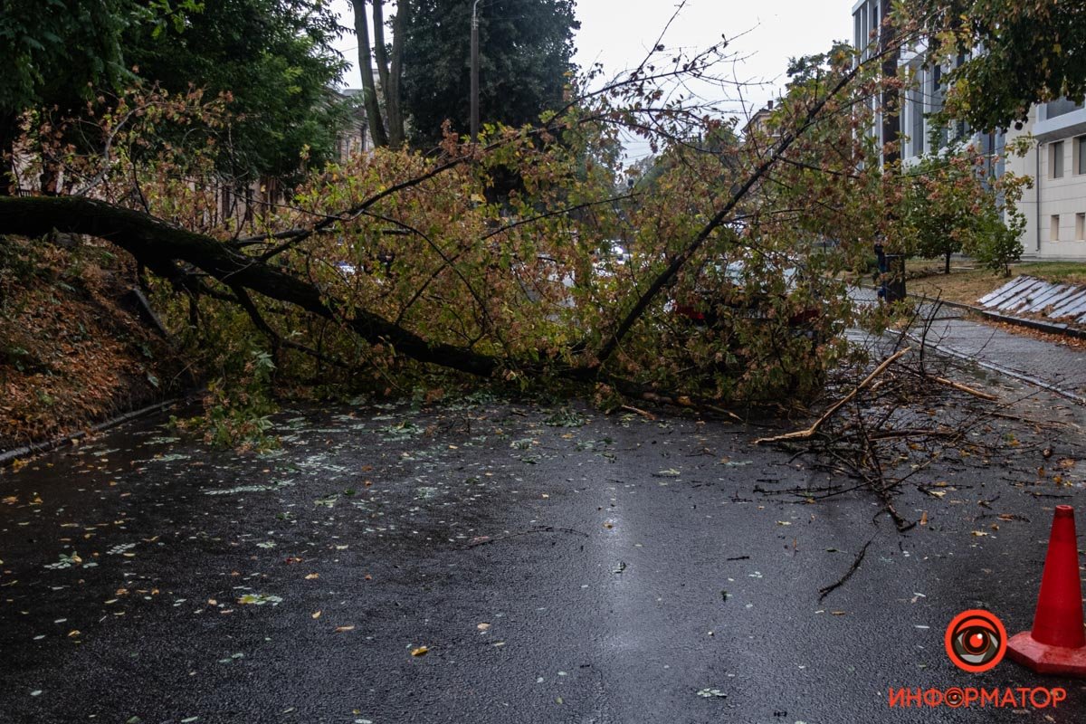 На месте происшествия работают полиция и спасатели На месте происшествия работают полиция и спасатели