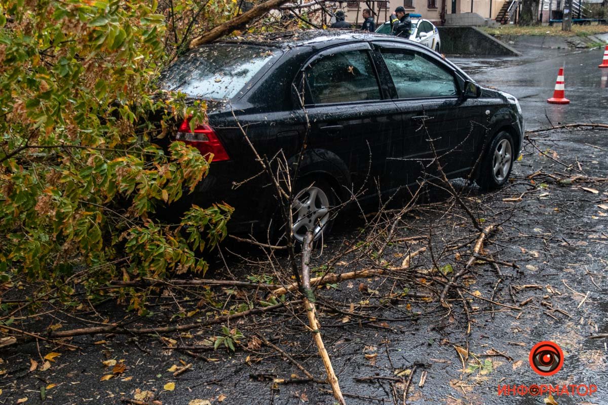 Сотрудники ГСЧС распиливают дерево, чтобы освободить проезжую часть Сотрудники ГСЧС распиливают дерево, чтобы освободить проезжую часть