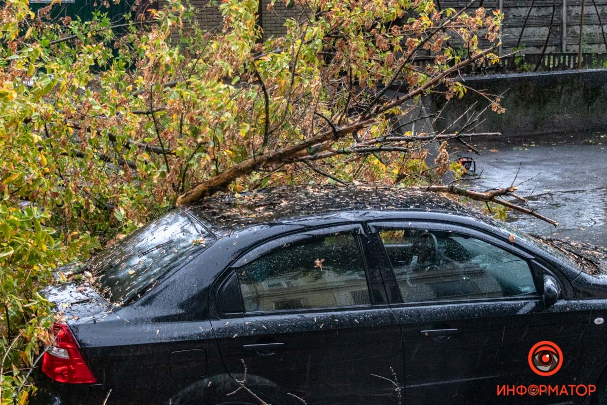 Будьте осторожны на дорогах Будьте осторожны на дорогах