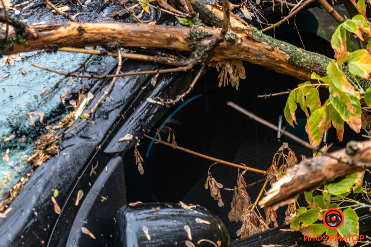 Выбитое стекло Выбитое стекло