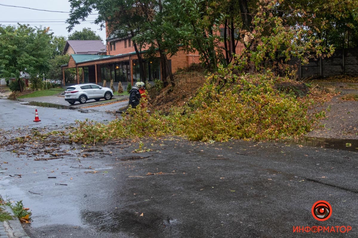 Спасатели убирают дерево с дороги Спасатели убирают дерево с дороги