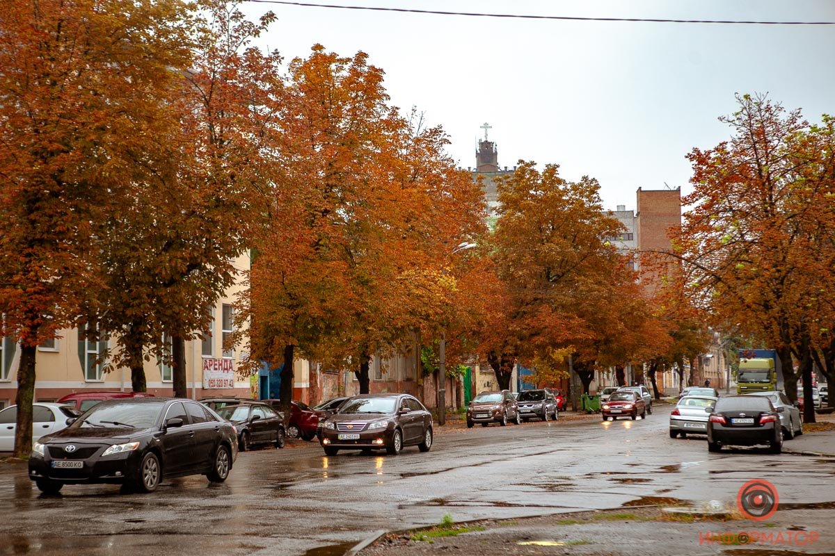 Яркие краски осени Яркие краски осени