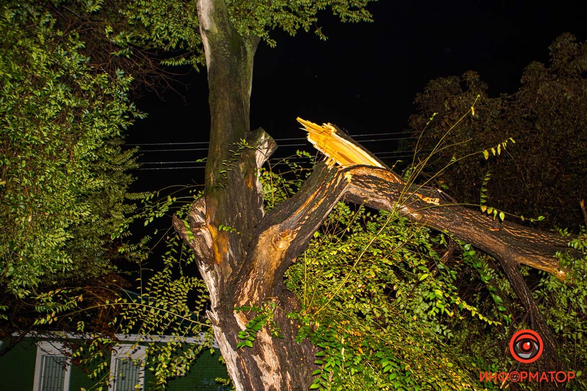 Вероятная причина - порывы ветра Вероятная причина - порывы ветра