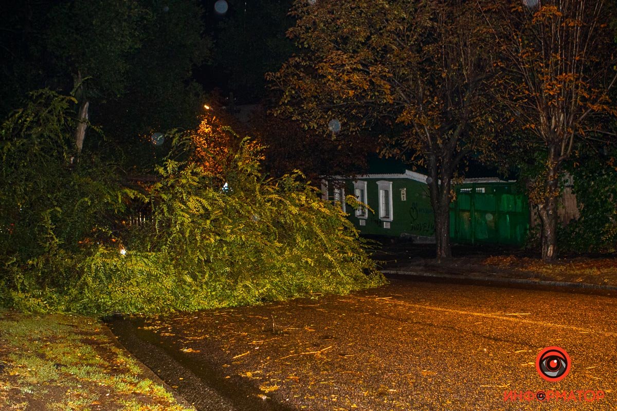 Некоторые водители объезжают препятствие, заезжая на тротуар Некоторые водители объезжают препятствие, заезжая на тротуар