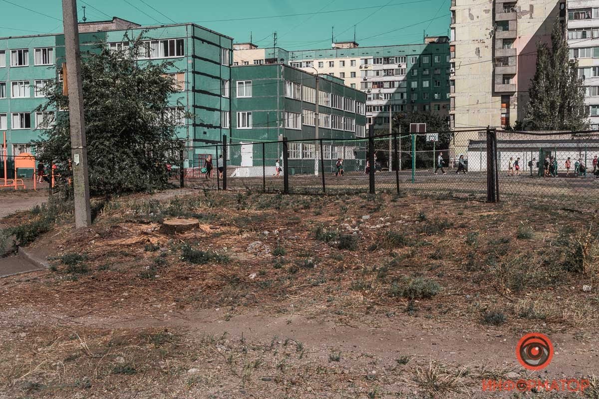 Выборы в Днепре: избиратели Станислава Кушнира мечтают о ровных дорогах 9