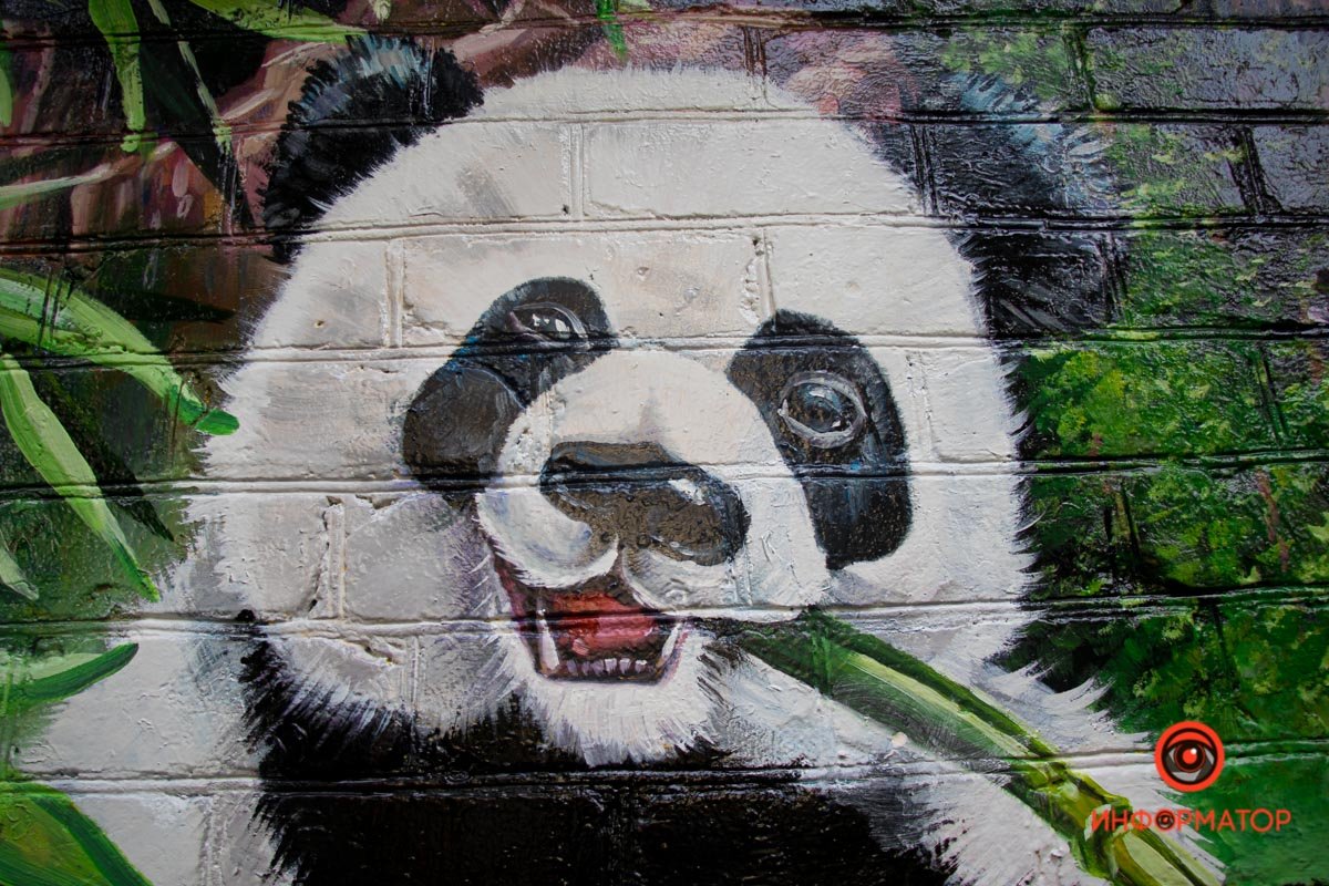 Подмигивает