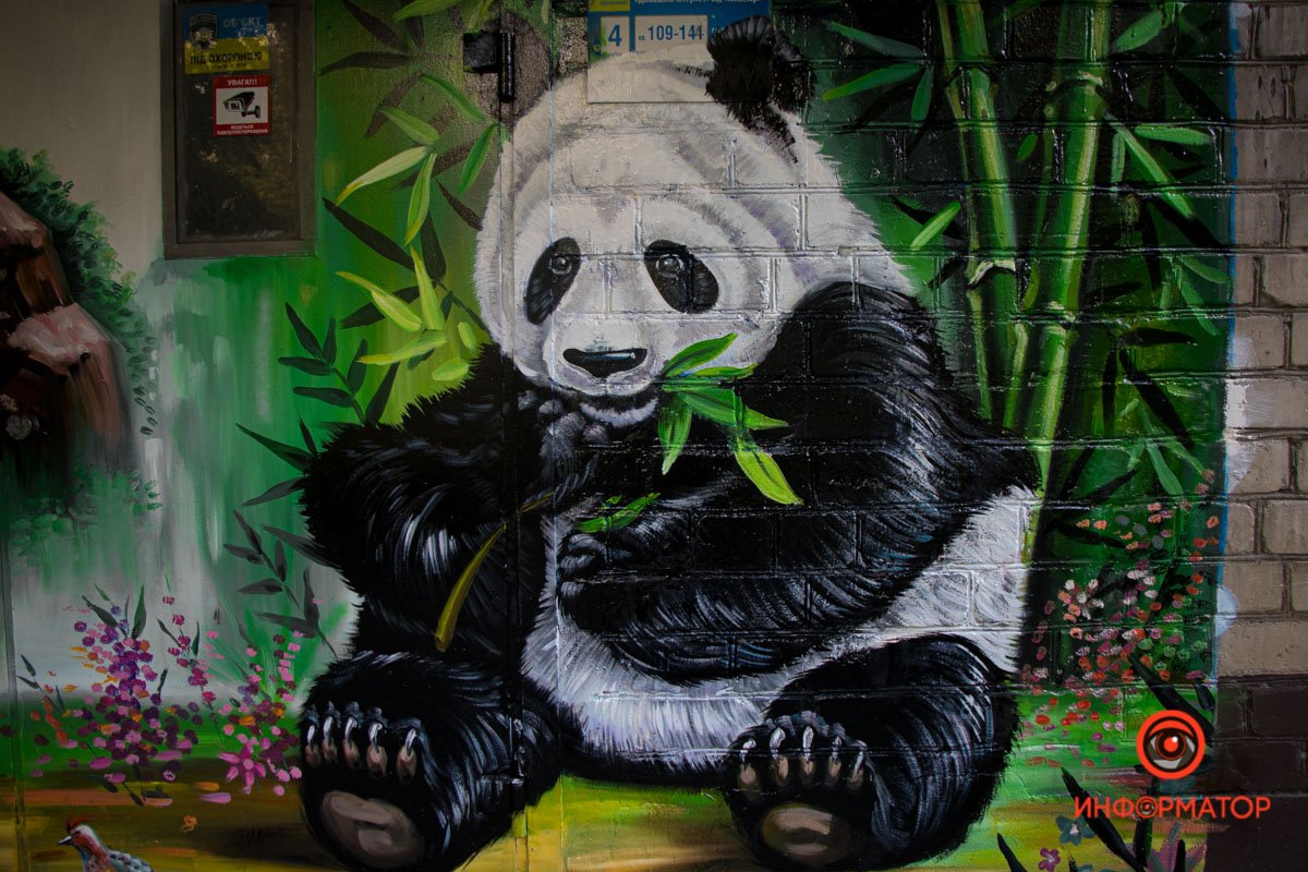 Новый житель