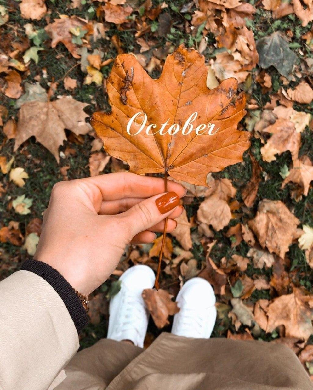 nastya__malyk nastya__malyk