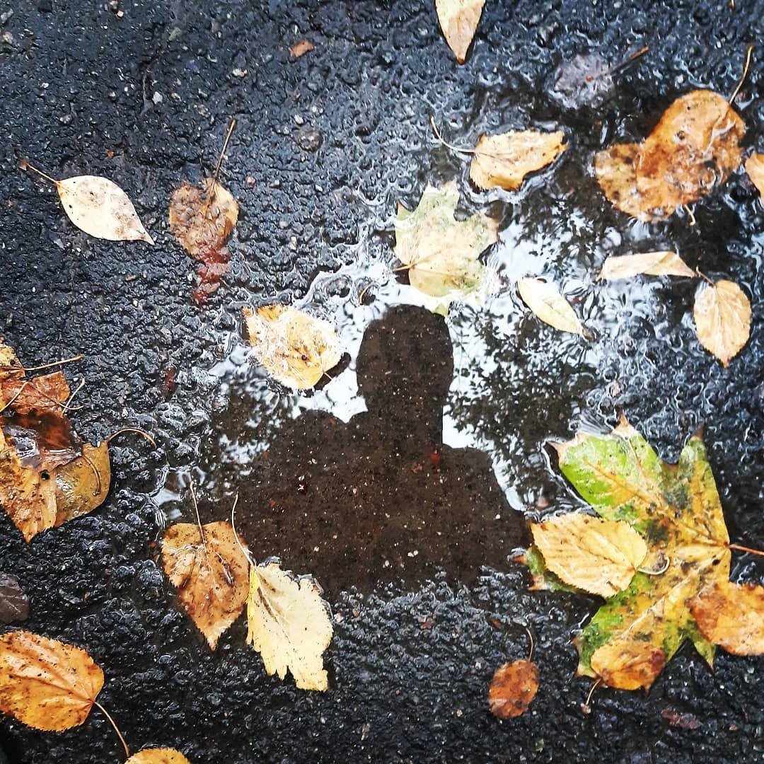 kulakova_a_v kulakova_a_v