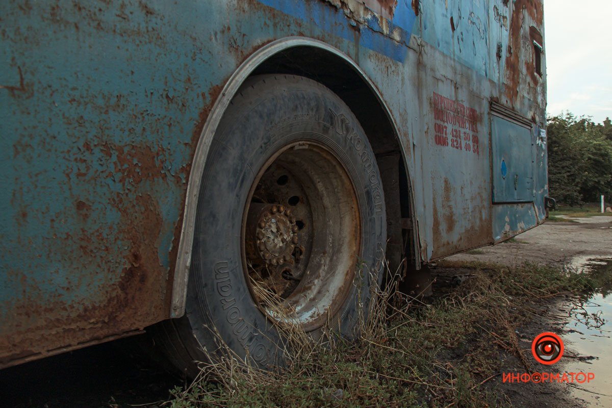 Я непременно вскоре проснусь.