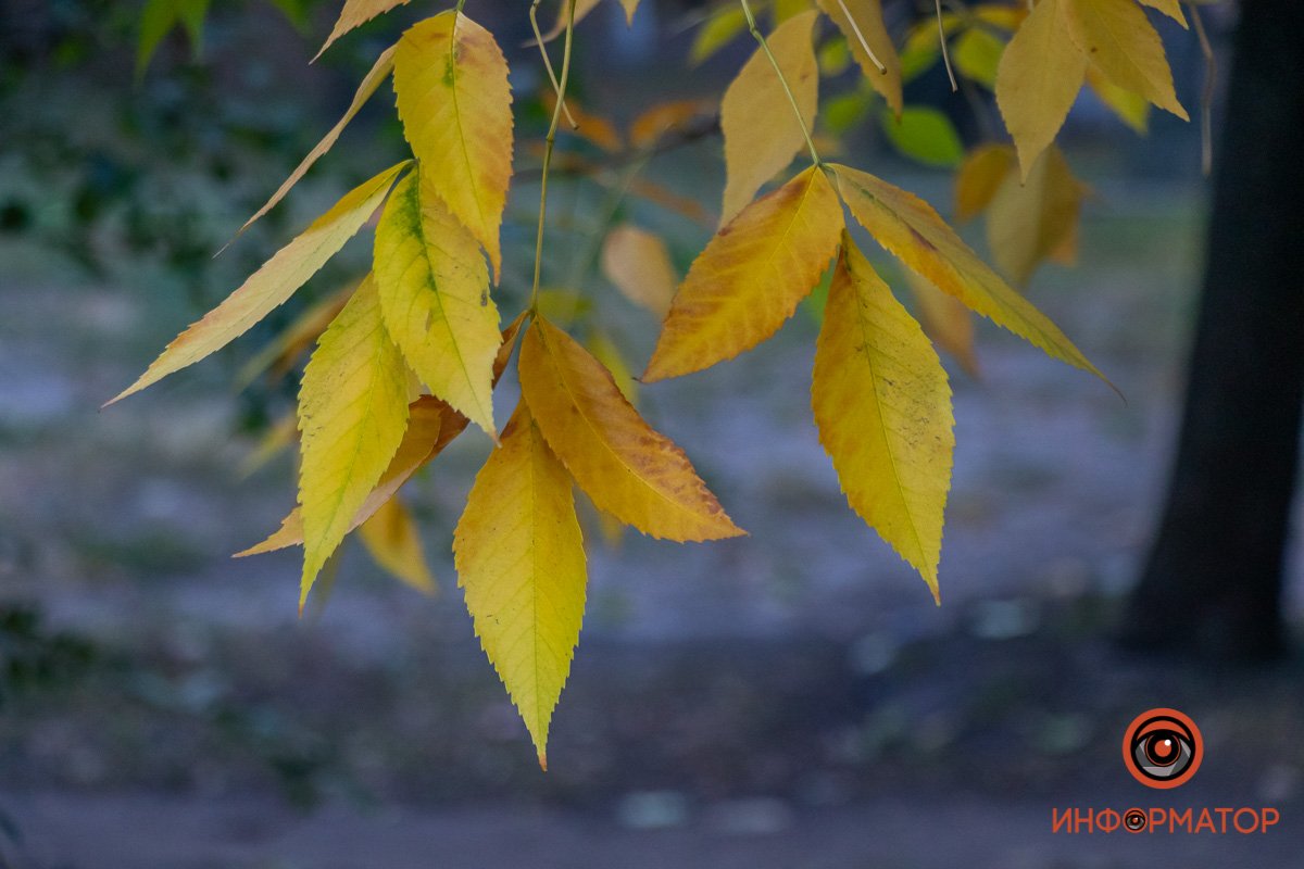 Время не стоит на месте Время не стоит на месте