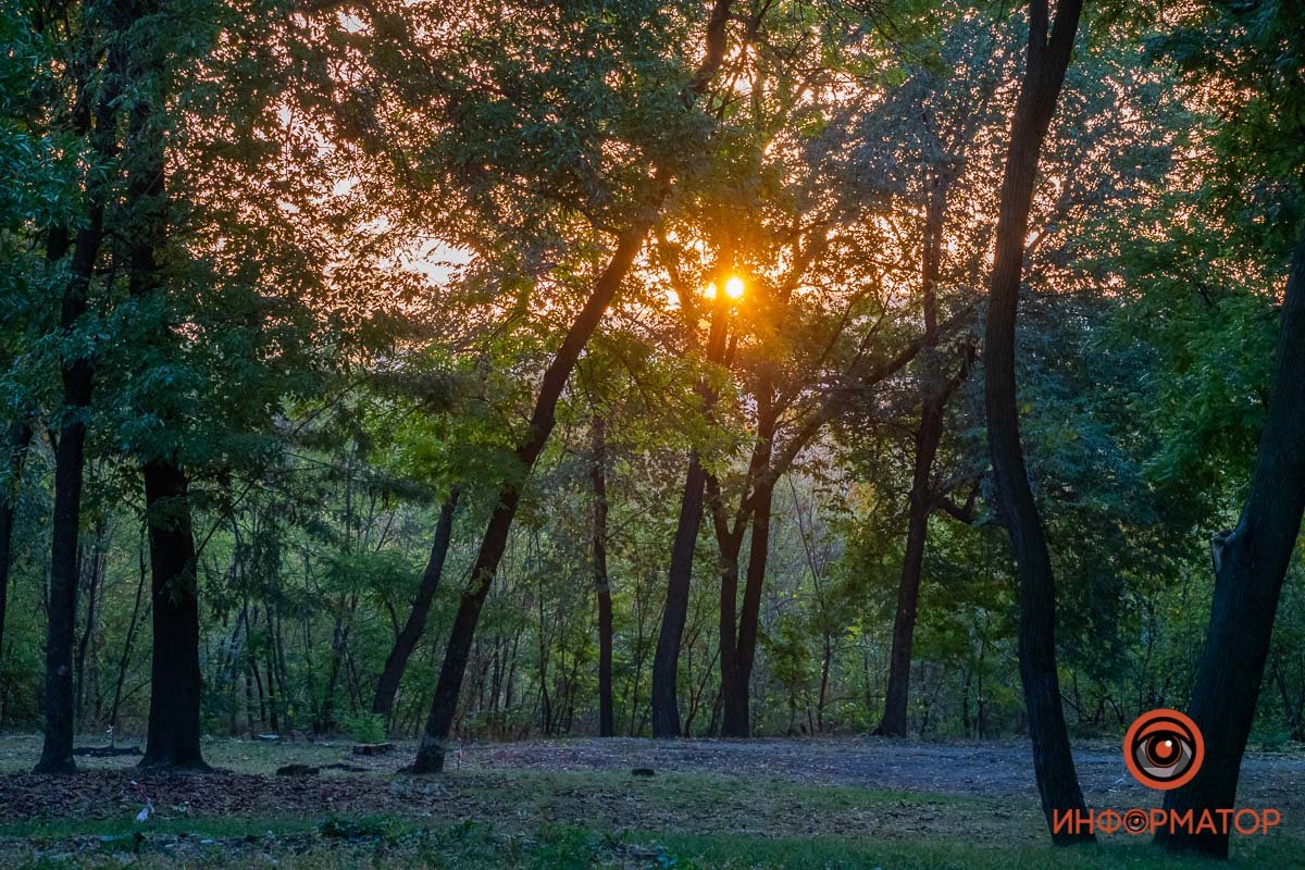 Новый день Новый день